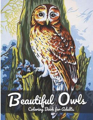 Book cover for Beautiful Owls Coloring Book For Adults