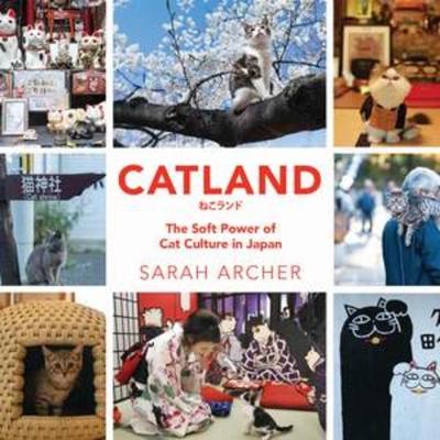 Book cover for Catland