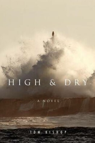 Cover of High & Dry