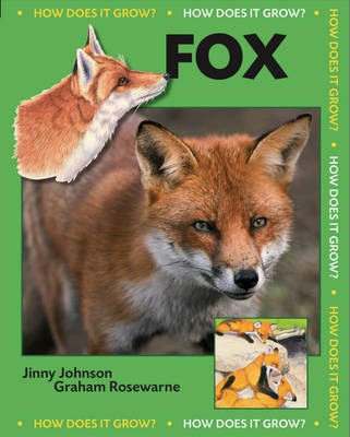 Book cover for Fox