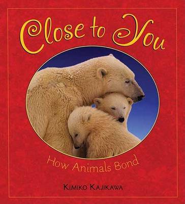 Book cover for Close to You