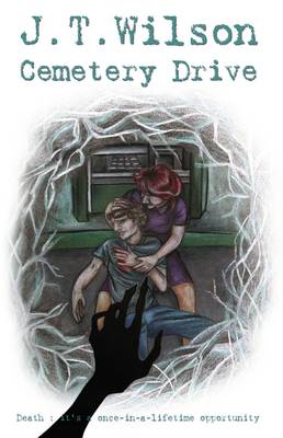 Book cover for Cemetery Drive