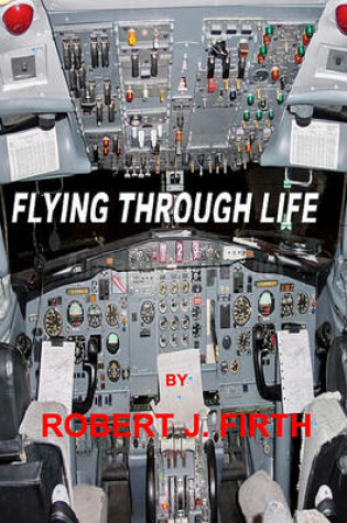 Cover of Flying Through Life