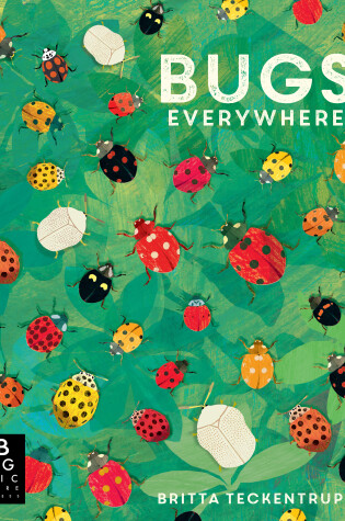 Cover of Bugs Everywhere