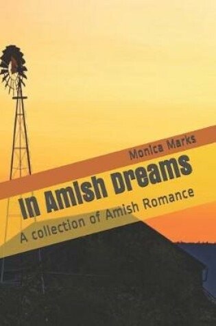 Cover of In Amish Dreams