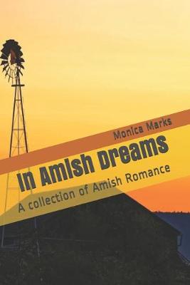 Cover of In Amish Dreams