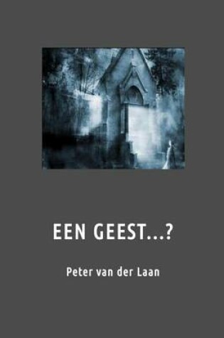 Cover of Een Geest...?