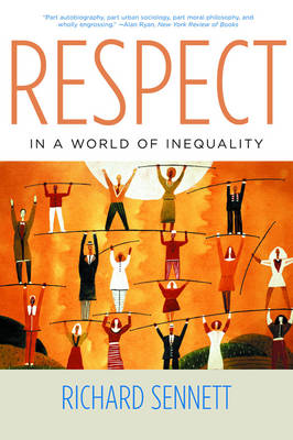 Book cover for Respect in a World of Inequality