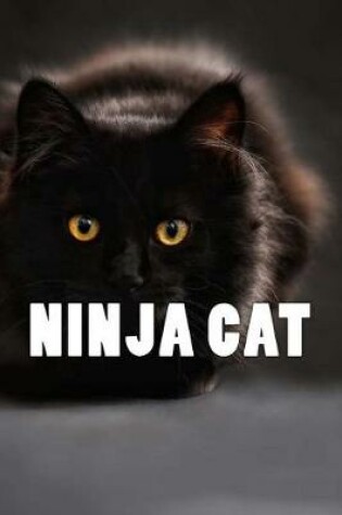 Cover of Ninja Cat