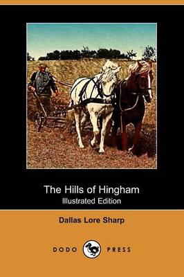 Book cover for The Hills of Hingham(Dodo Press)