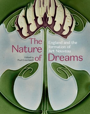 Book cover for The Nature of Dreams