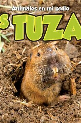 Cover of Las Tuzas