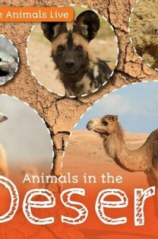 Cover of Animals in the Desert