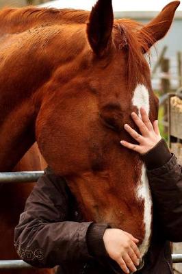 Book cover for A Horse Hug Journal