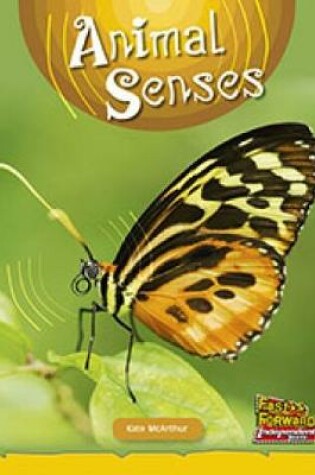 Cover of Animal Senses