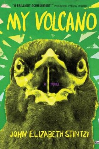 Cover of My Volcano