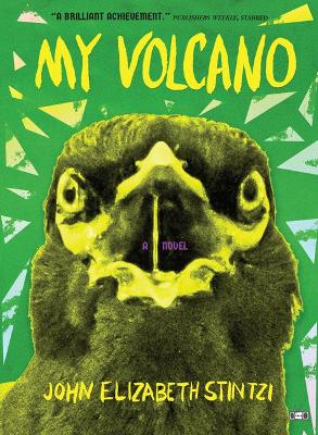 Book cover for My Volcano