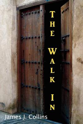 Book cover for The Walk in