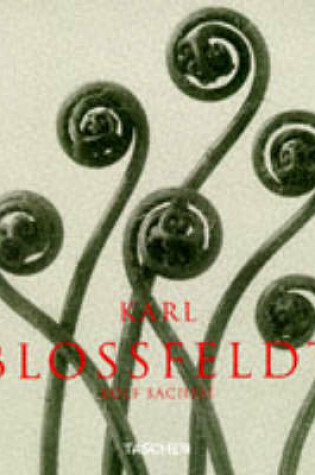 Cover of Karl Blossfeldt