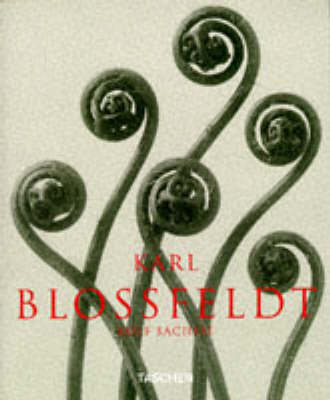 Book cover for Karl Blossfeldt