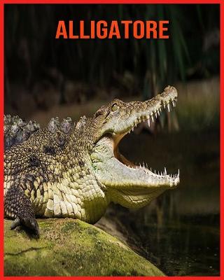 Book cover for Alligatore