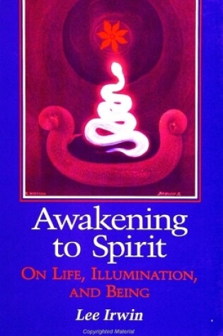 Cover of Awakening to Spirit