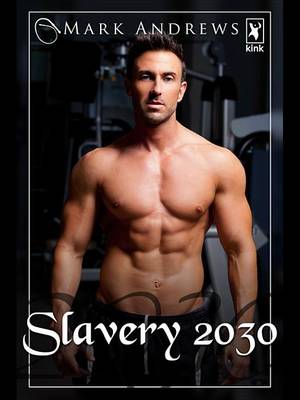 Book cover for Slavery 2030