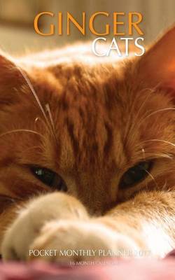 Book cover for Ginger Cats Pocket Monthly Planner 2017