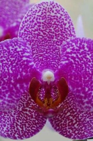 Cover of Phalaenopsis Orchid Close-Up, for the Love of Flowers