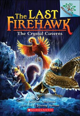 Cover of The Crystal Caverns