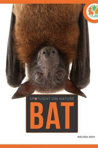 Cover of Bat