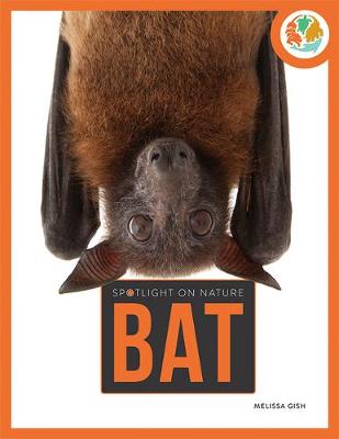 Book cover for Bat