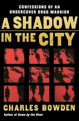 Book cover for A Shadow in the City