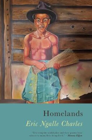 Cover of Homelands