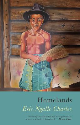 Book cover for Homelands