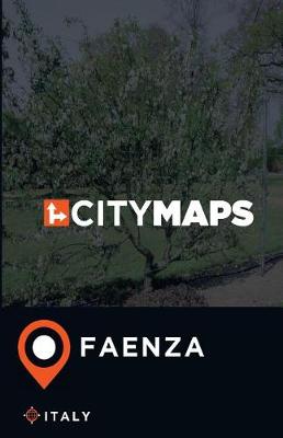 Book cover for City Maps Faenza Italy