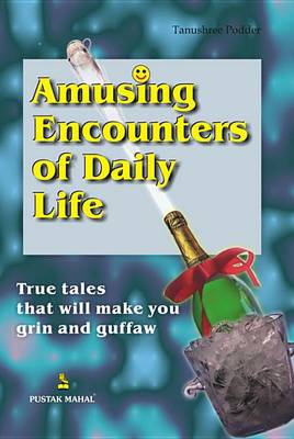 Book cover for Amusing Encounters of Daily Life