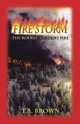 Book cover for Fire Storm