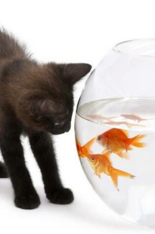 Cover of Website Password Organizer a Black Kitten Investigating a Goldfish