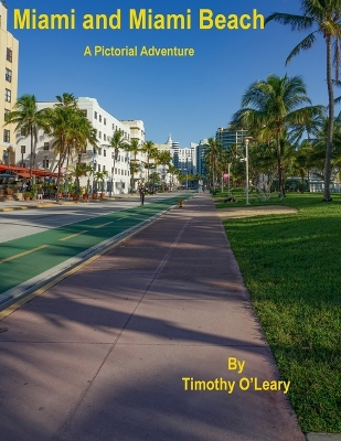 Book cover for Miami and Miami Beach