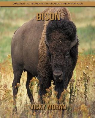 Book cover for Bison