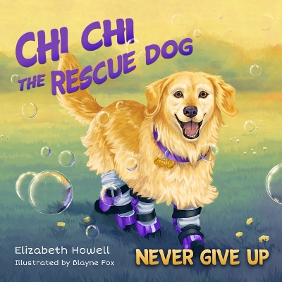 Cover of Never Give Up