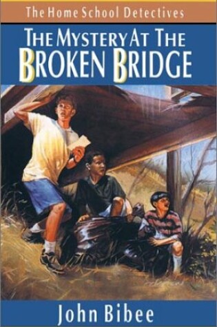 Cover of The Mystery at the Broken Bridge