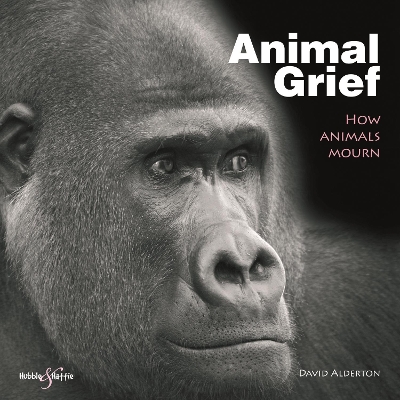 Book cover for Animal Grief