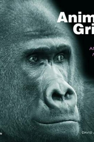 Cover of Animal Grief: How Animals Mourn