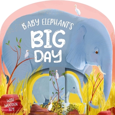 Book cover for Baby Elephant's Big Day