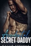 Book cover for Accidental Secret Daddy