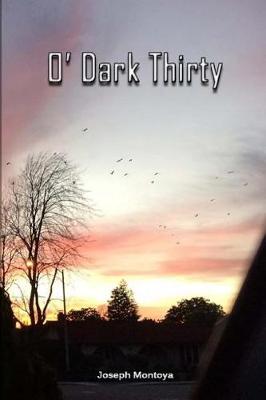 Book cover for O' Dark Thirty