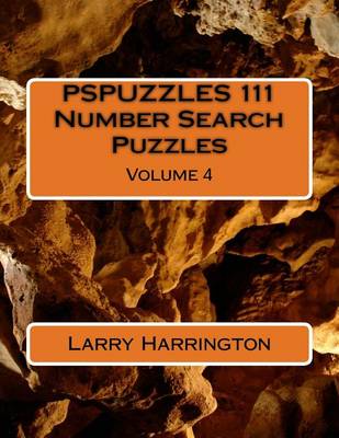 Cover of PSPUZZLES 111 Number Search Puzzles Volume 4