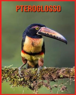 Book cover for Pteroglosso